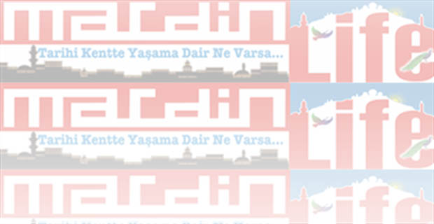 Ali Elçin Kimdr?