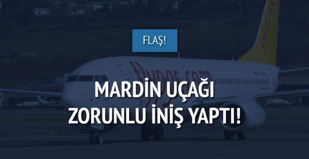 Mardin uçağı, Diyarbakır'a zorunlu iniş yaptı! Mardin Life