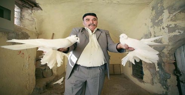 Kanat Çırpan Hazine tescil yolunda