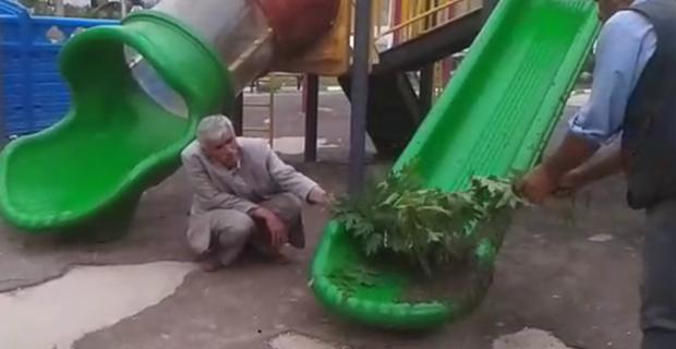 Arılar, çocuk parkını istila etti
