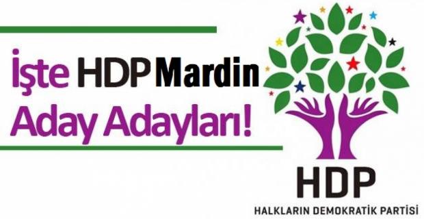 İşte HDP'de kesinleşen Mardin Aday Adayı Listesi