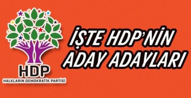 Mardin'de HDP'ye Rekor Başvuru
