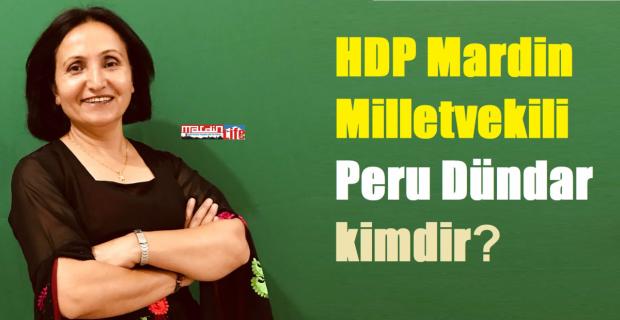 Mardin Milletvekili Pero Dündar Kimdir? Peru Dündar Aslen Nerelidir?