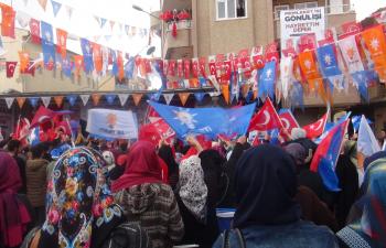 Yeşilli AK Parti'den Seçim Mitingi 