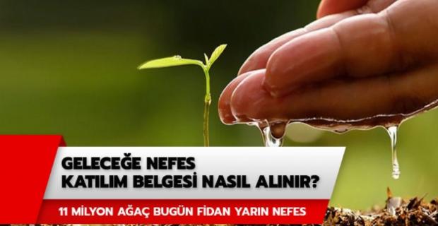 Geleceğe Nefes katılım belgesi nasıl alınır sorgulama ekranı