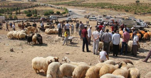 Coronavirus hayvan pazarlarını da vurdu, kurbanlıklar elde kaldı