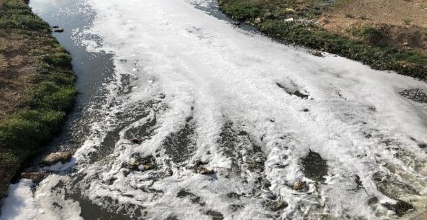 Kızıltepe'de derede oluşan köpükler korkutuyor