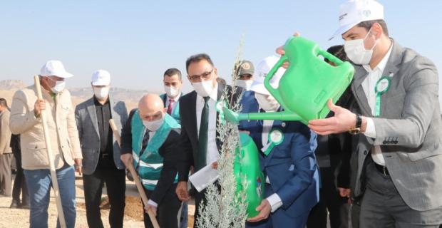 Mardin'de 'Geleceğe Nefes' İçin 160 Bin Fidan Toprakla Buluştu