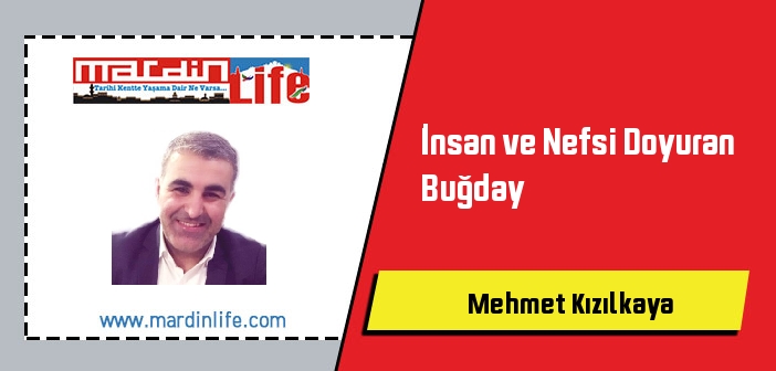 İnsan ve Nefsi Doyuran Buğday