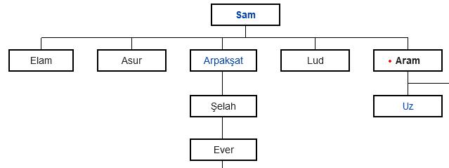 aram kurtce ne demek kurtce aram anlami nedir