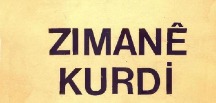 Kürtçe &quot;Çıtki&quot; Ne Demek? Tu çi diki ne anlama geliyor?