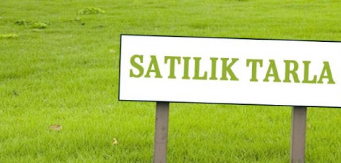 Mardin Kızıltepe'de satılık tarla