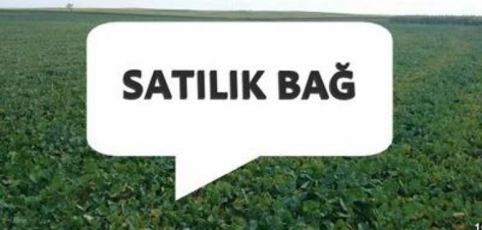 Mardin Ömerli'de 21.770,56 m² bağ satılıktır
