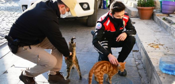 Polisler Sokak Hayvanlarını Unutmadı