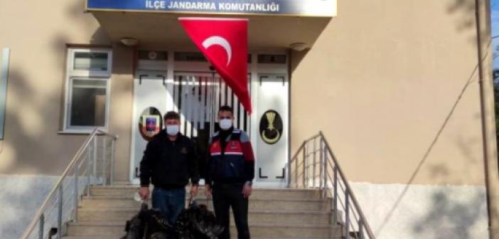 Hindi hırsızları kameraların yardımıyla yakalandı