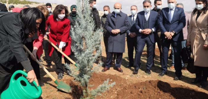 Kadınlar Bin 200 Fidanı Toprakla Buluşturdu