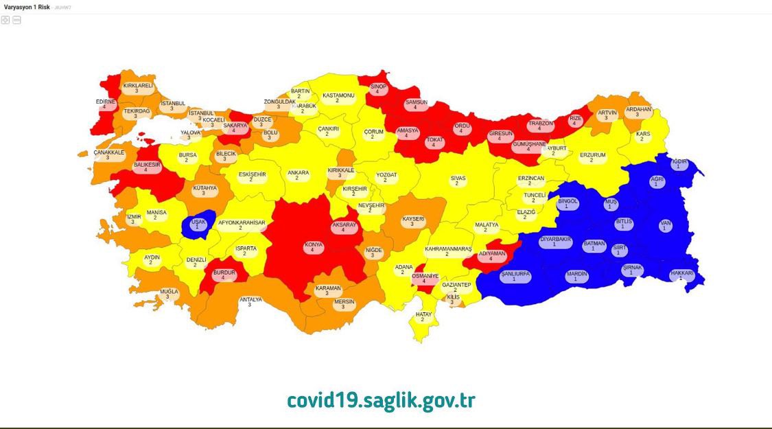 Türkiye'nin koronavirüs risk haritası ve normalleşecek iller | Mardin Life