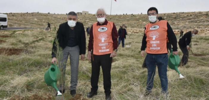 Sağlık çalışanlarına hatıra ormanı oluşturuldu