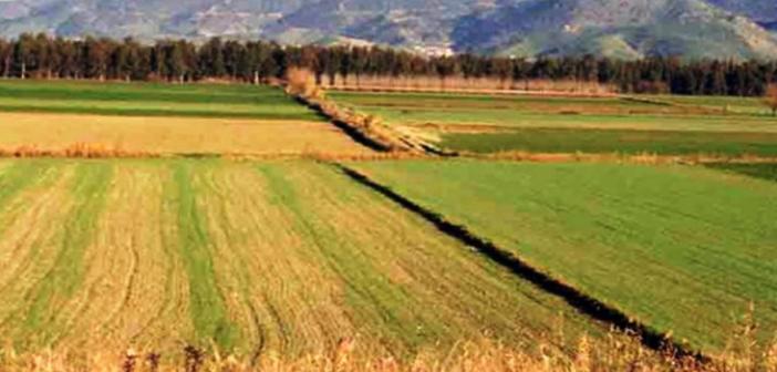 Tarımsal alt yapı işleri yaptırılacak