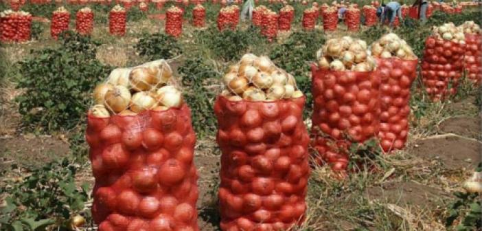Çiftçinin Elinde Kalan Patates, Soğan ve Çeltik Satın Alınarak Vatandaşa Dağıtılacak