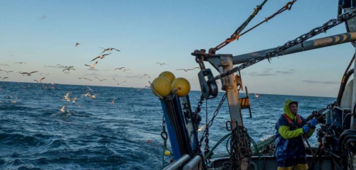Denizlerde Av Yasağı Ne Zaman Başlıyor 2021? Balık Av Yasağı Ne Zaman Başlıyor 2021?