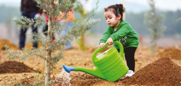 Fidan dikimi nasıl yapılır? Fidan bakımı nasıl yapılır? Baharda yapılacak en iyi işlerden biri!