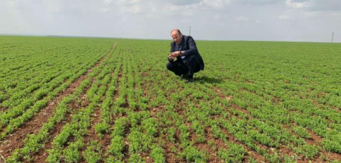 Kuraklık Sebebiyle Güneydoğunun Afet Bölgesi İlan Edilmesi İçin Çalışma Başlatıldı