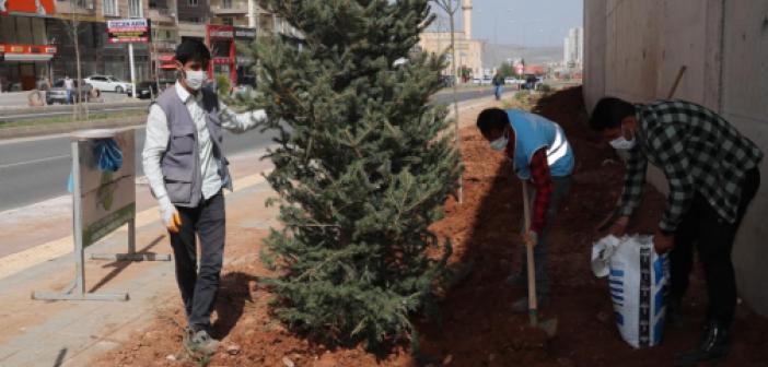 Mardin’de Kavşaklar ve İstinat Duvarları Süsleniyor