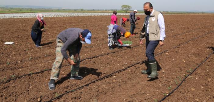 Mevsimlik tarım işçileri Bursa’ya gitti