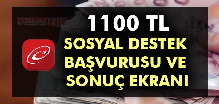 1100 TL e Devlet Pandemi destek başvurusu nasıl yapılır? 2021 Sosyal maddi yardım başvurusu sonuç sorgulama ekranı