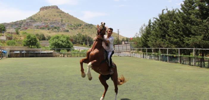 Mardin'de atlı binicilik sporuna yoğun ilgi