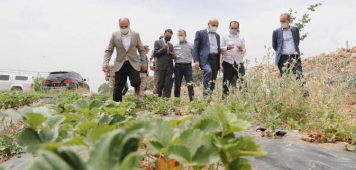 Vali Demirtaş İlçelerde İncelemelerde Bulundu