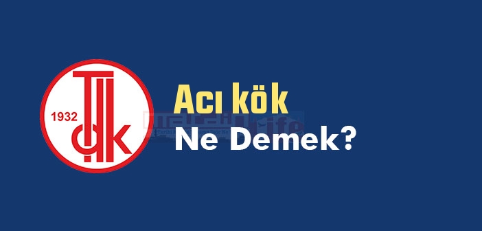 Acı kök ne demek? TDK'ya göre Acı kök sözlük anlamı nedir?