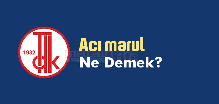 Acı marul ne demek? TDK'ya göre Acı marul sözlük anlamı nedir?