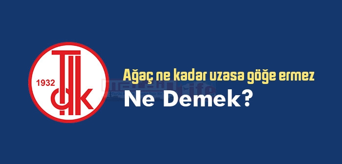 Ağaç ne kadar uzasa göğe ermez ne demek? Atasözü ve deyim ne anlama geliyor?