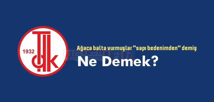 Ağaca balta vurmuşlar "sapı bedenimden" demiş ne demek? Atasözü ve deyim ne anlama geliyor?