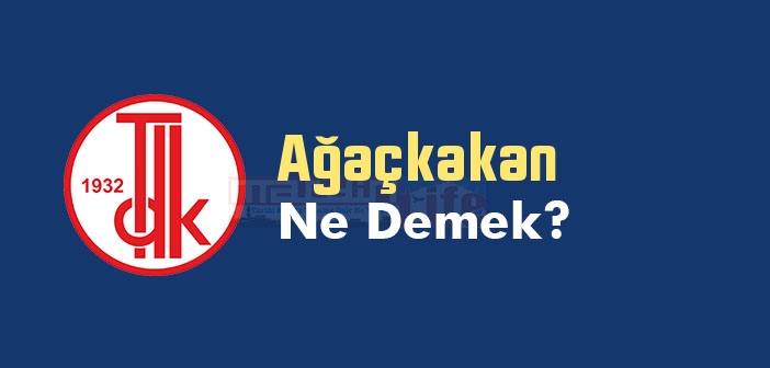 Ağaçkakan ne demek? TDK'ya göre Ağaçkakan kelime anlamı nedir? Ağaçkakan sözlük anlamı