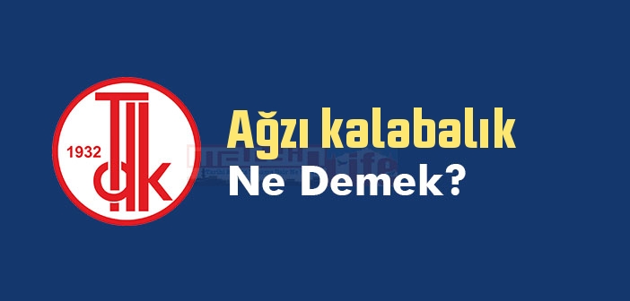 Ağzı kalabalık ne demek? TDK'ya göre Ağzı kalabalık sözlük anlamı nedir?