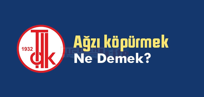 Ağzı köpürmek ne demek? Ağzı köpürmek sözünün anlamı nedir?
