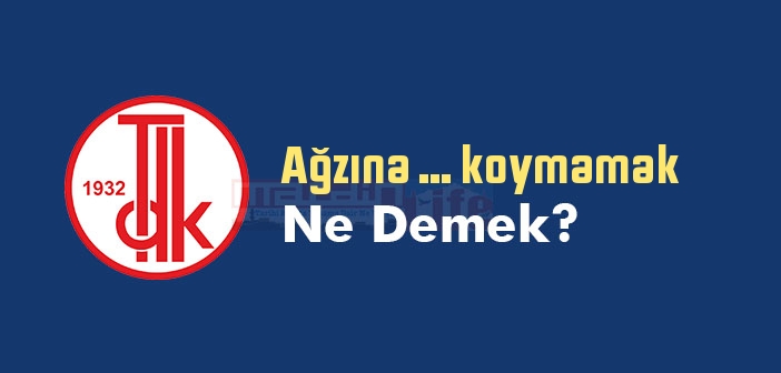 Ağzına ... koymamak ne demek? Ağzına ... koymamak sözünün anlamı nedir?