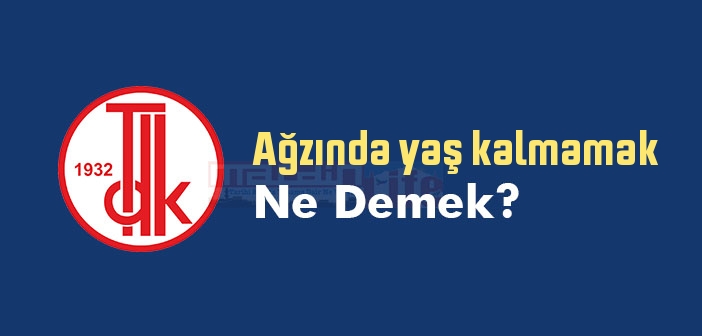 Ağzında yaş kalmamak ne demek? Ağzında yaş kalmamak sözünün anlamı nedir?