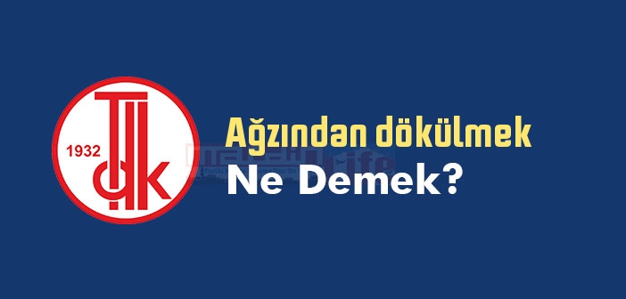 Ağzından dökülmek ne demek? Ağzından dökülmek sözünün anlamı nedir?
