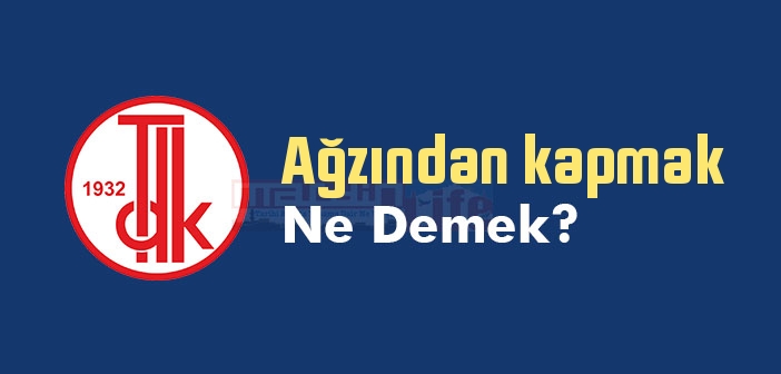 Ağzından kapmak ne demek? Ağzından kapmak sözünün anlamı nedir?