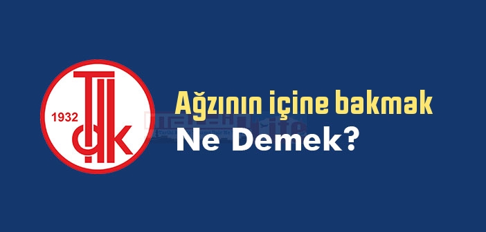 Ağzının içine bakmak ne demek? Ağzının içine bakmak sözünün anlamı nedir?