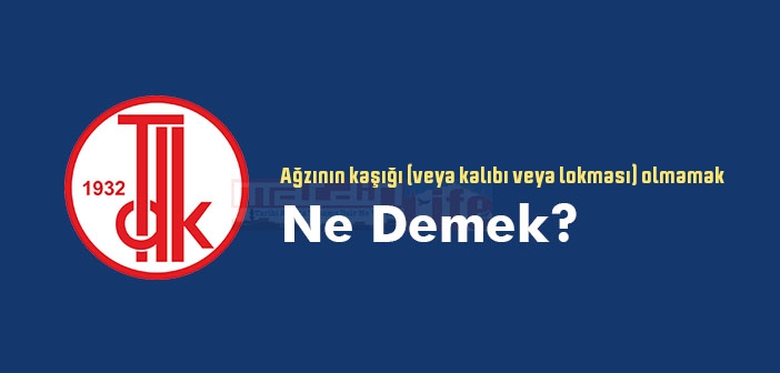 Ağzının kaşığı (veya kalıbı veya lokması) olmamak ne demek? Atasözü ve deyim ne anlama geliyor?
