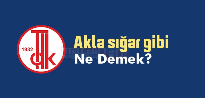 Akla sığar gibi ne demek? Akla sığar gibi sözünün anlamı nedir?