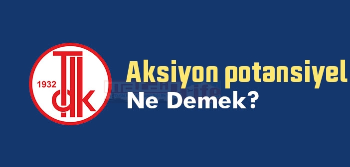 Aksiyon potansiyeli ne demek? TDK'ya göre Aksiyon potansiyeli sözlük anlamı nedir?