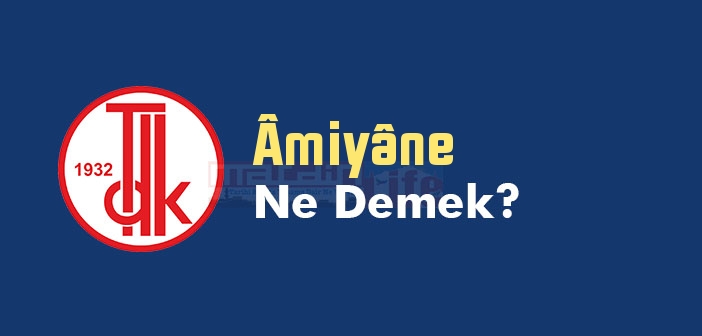 Âmiyâne ne demek? TDK'ya göre Âmiyâne kelime anlamı nedir? Âmiyâne sözlük anlamı