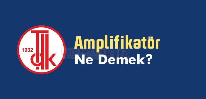 Amplifikatör ne demek? TDK'ya göre Amplifikatör kelime anlamı nedir? Amplifikatör sözlük anlamı