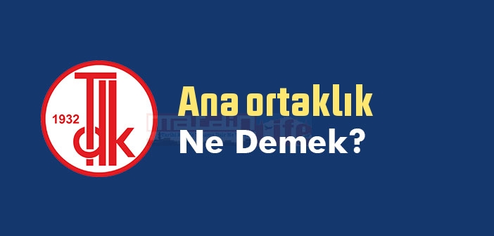 Ana ortaklık ne demek? TDK'ya göre Ana ortaklık sözlük anlamı nedir?